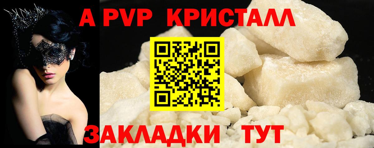 Alfa_PVP СК Сокол