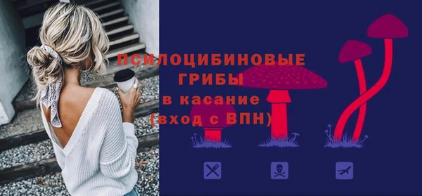 дживик Почеп