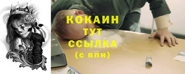 дживик Почеп