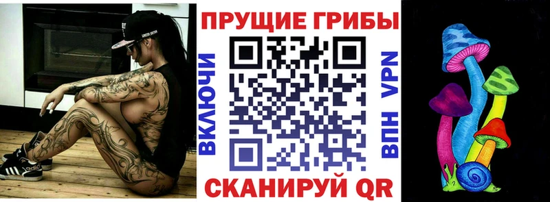 Псилоцибиновые грибы мицелий  Сокол 
